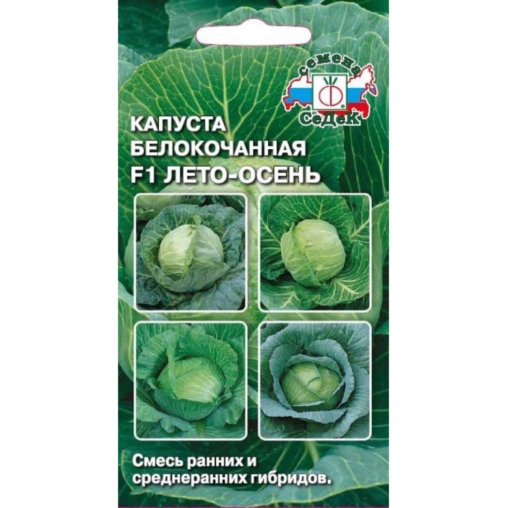 Семена Капуста белокочанная, Лето-осень, 0.3 г, цветная упаковка, Седек
