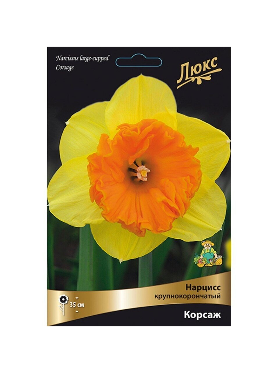 Луковицы Нарцисс крупнокорончатый, Корсаж, 12-14/К, 3 шт