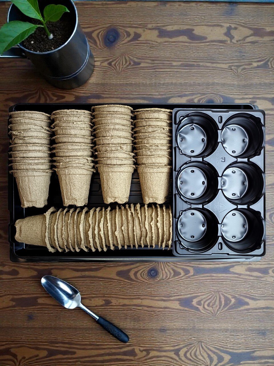 Набор для рассады диаметр 80 мм, 60 стаканчиков, поддон 3 шт, кассета 6 ячеек - 5 шт, ГазонCity
