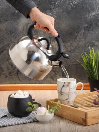 Чайник нержавеющая сталь, 3 л, со свистком, зеркальный, ручка бакелитовая, с силиконовым покрытием, Daniks, Турин, индукция, MSY-075PM