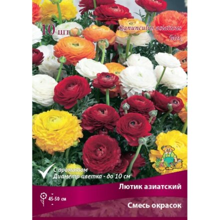Луковицы Лютик азиатский, смесь окрасок, 10 шт