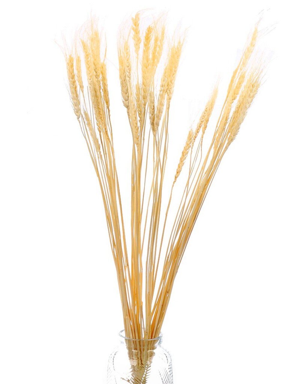 Цветок искусственный декоративный Колосья, 70 см, песочный, Y6-10402