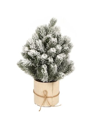 Заснеженная