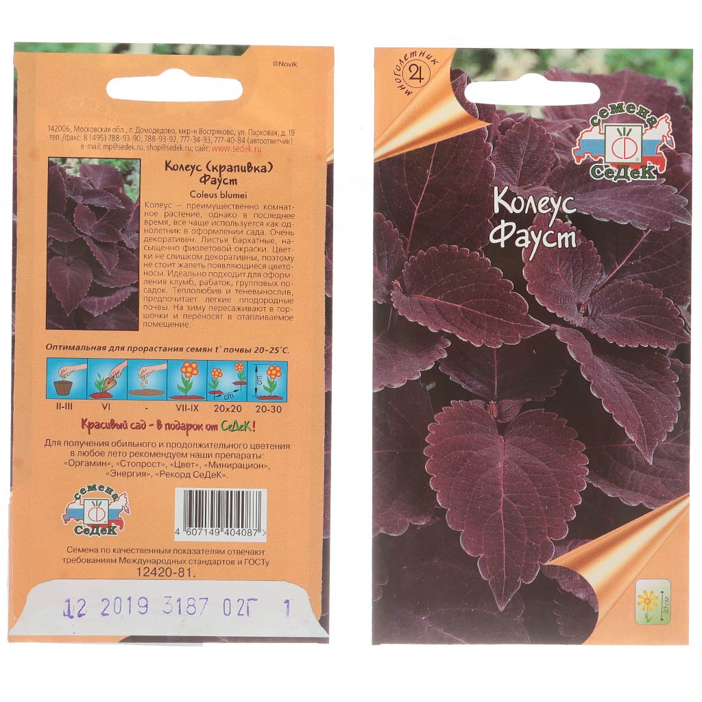 Семена Цветы, Колеус, Фауст, 0.2 г, цветная упаковка семена колеус фейерверк мозаика f1