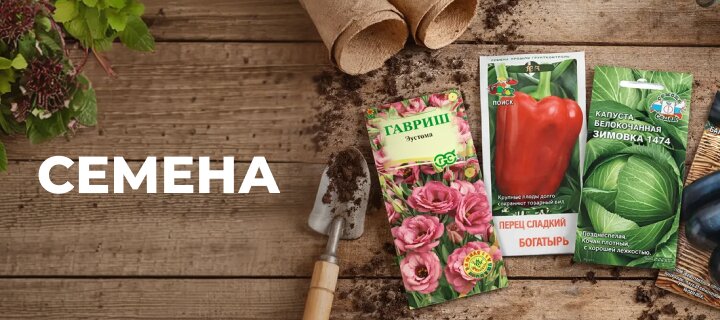Семена со скидкой -15%