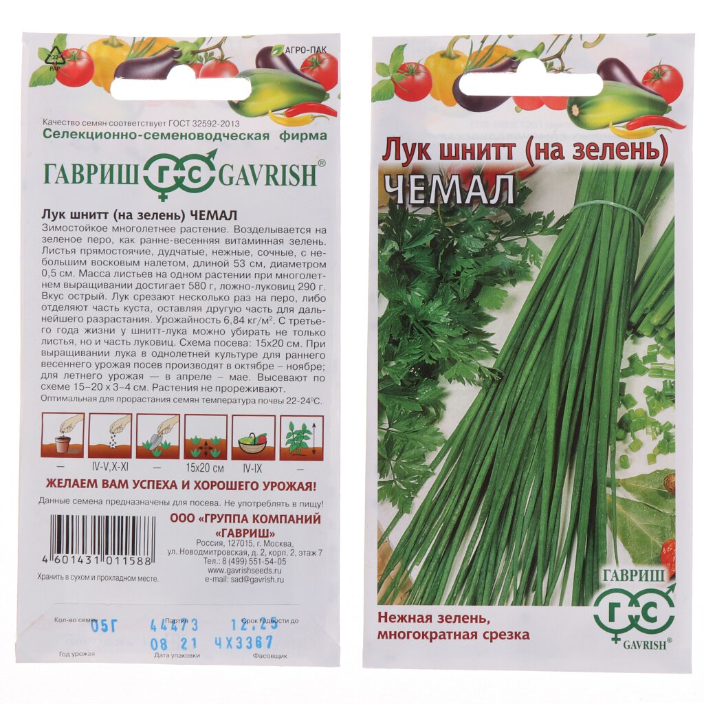 Семена Лук шнитт, Чемал, 0.5 г, на зелень, цветная упаковка, Гавриш семена лук шнитт богемия на зелень 0 5 г
