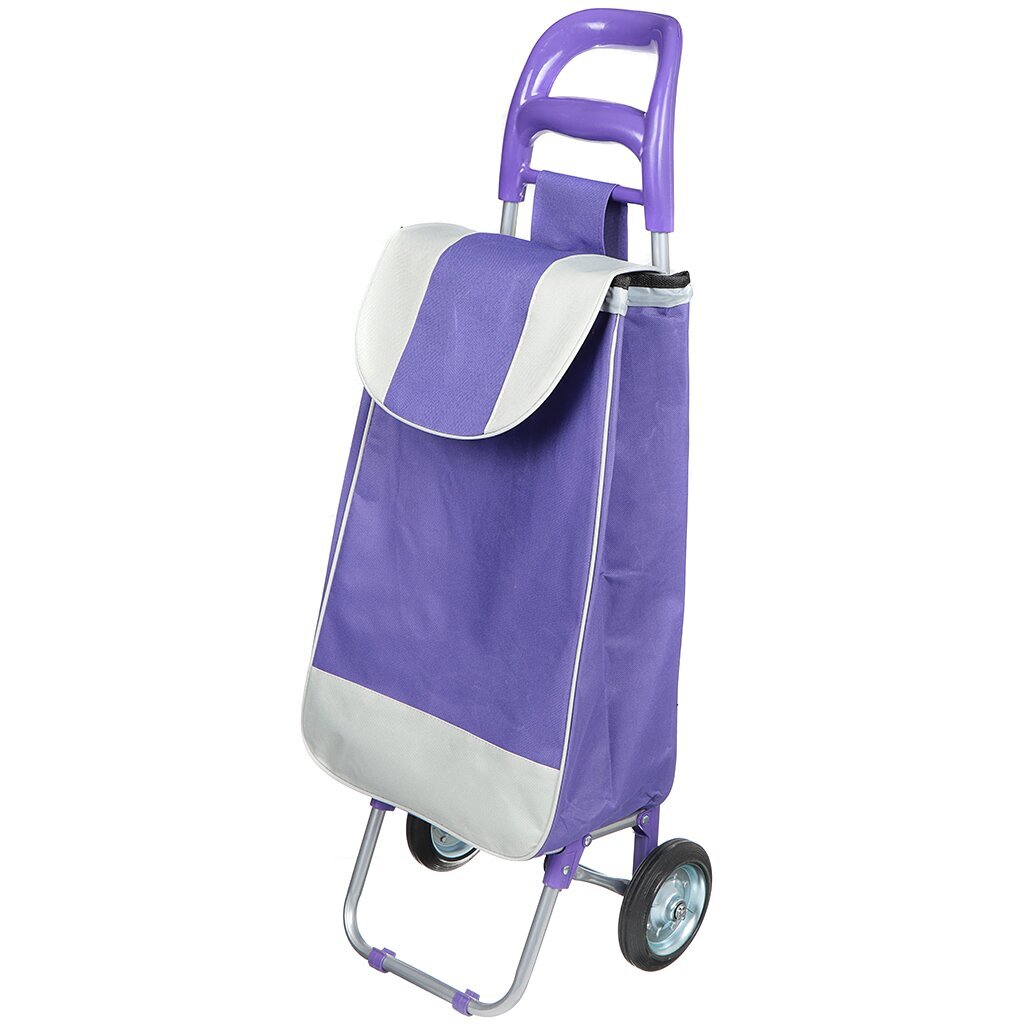 Тележка хозяйственная JC-9479 с сумкой, 30 кг