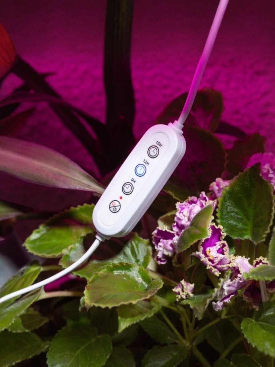 Таймер для фитосветильников, 50 Вт, 220-230 В, IP20, 1.5 м, Эра, Fito-Linetime, Б0059056