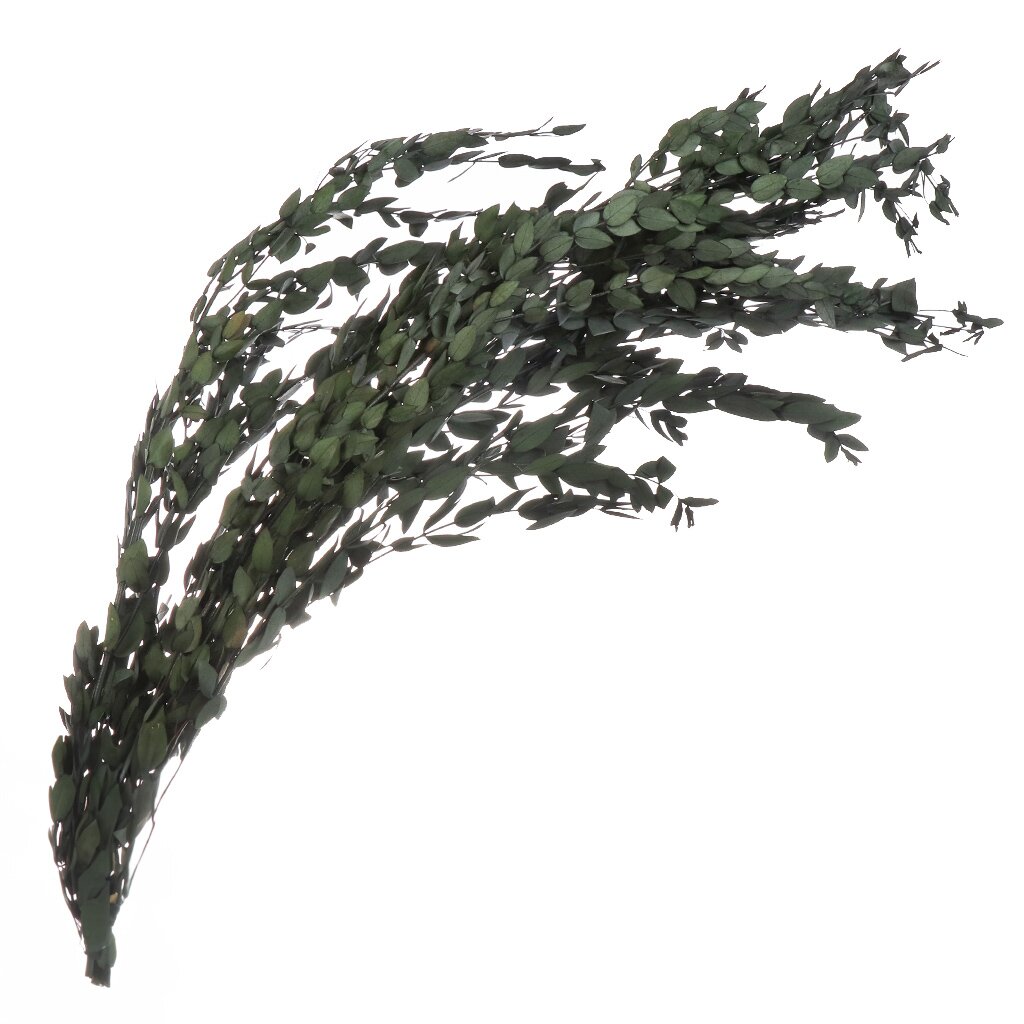 Цветок искусственный декоративный Ветвь, 70 см, темно-зеленый, Y6-10350 ок искусственный декоративный ветвь 95 см зеленый y6 10368