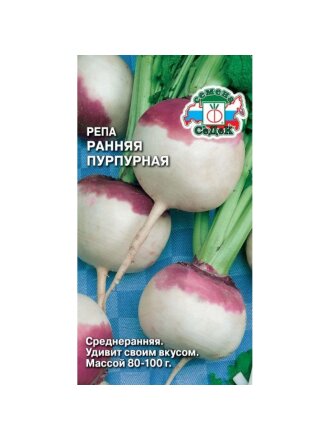 Ранняя пурпурная