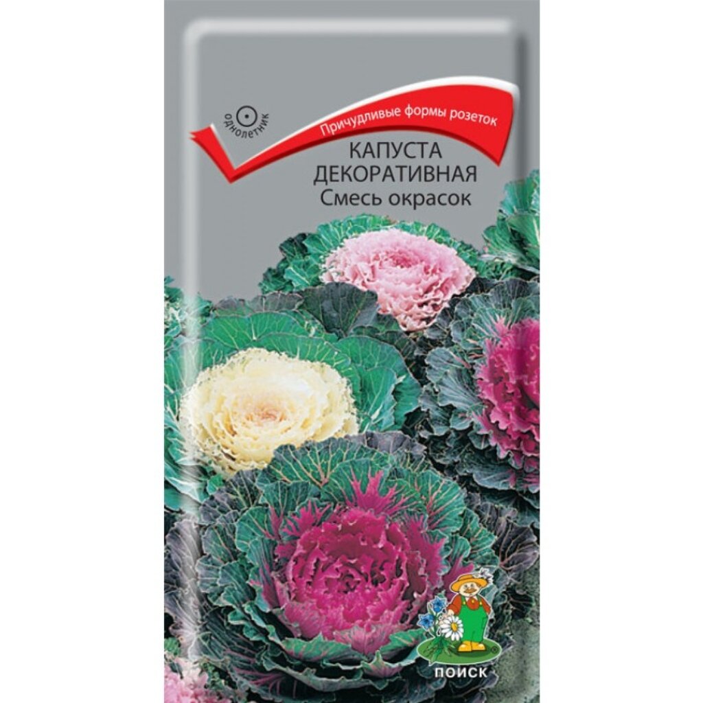 Семена Цветы, Капуста декоративная, Смесь окрасок, 0.25 г, цветная упаковка, Поиск