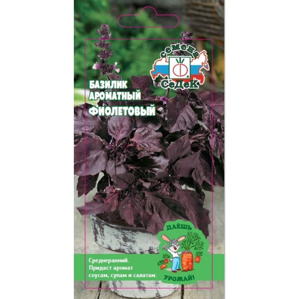Семена Базилик, Фиолетовый, 0.2 г, Даешь урожай, цветная упаковка, Седек