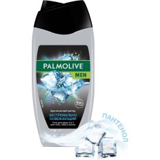 Гель для душа Palmolive, 3в1, для мужчин, 250 мл