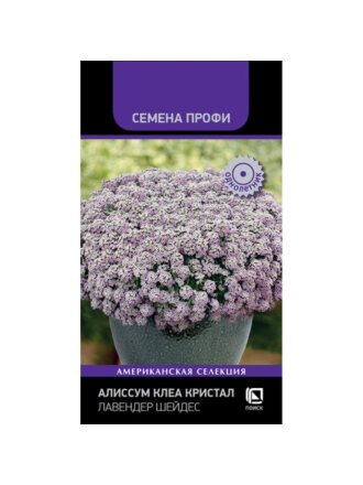 Семена Цветы, Алиссум, Клеа Кристал Лавендер Шейдес, Семена Профи, цветная упаковка, Поиск
