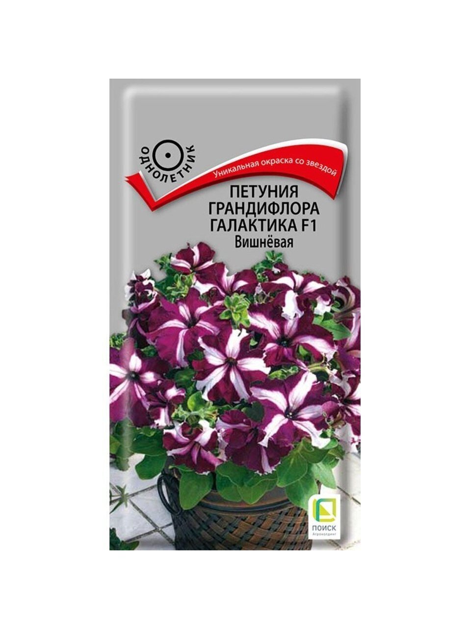Семена Цветы, Петуния, Галактика F1 Вишневая, грандифлора, цветная упаковка, Поиск