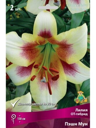 Луковицы Лилия ОТ-Гибрид, Пэшн Мун, 14-16, 2 шт