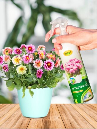 Цветочное Счастье Антистресс