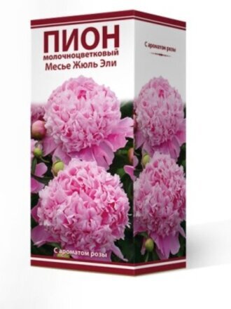 Луковицы Пион молочноцветковый, Месье Жюль Эли, 2-3, 741212