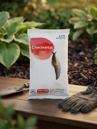 294 г