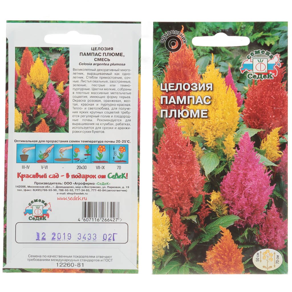 Семена Цветы, Целозия, Пампас Плюме, цветная упаковка, Седек