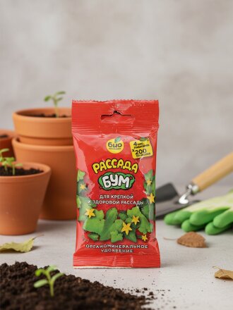 Рассада БУМ