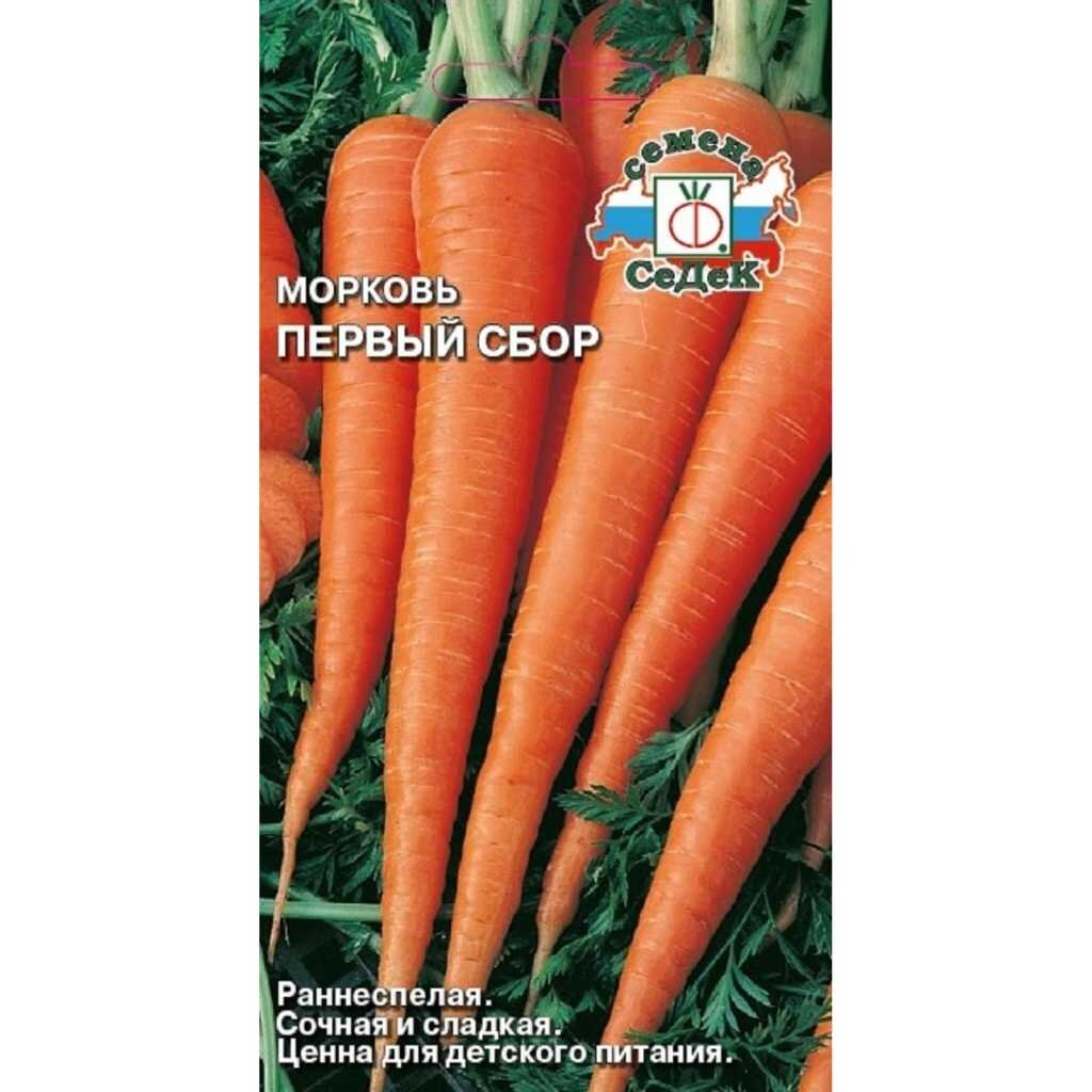 Семена Морковь, Первый сбор, цветная упаковка, Седек семена морковь витаминная 6 2 г белая упаковка седек
