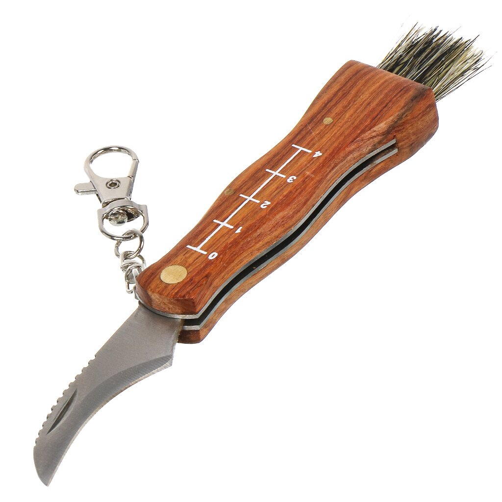 Нож грибника складной, нержавеющая сталь, 170 мм, деревянная рукоятка, Fit, 10745