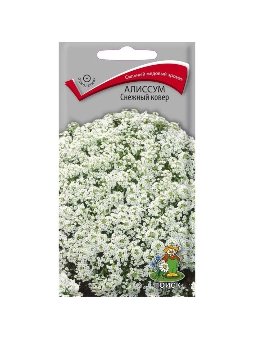 Семена Цветы, Алиссум, Снежный ковёр, 0.3 г, цветная упаковка, Поиск