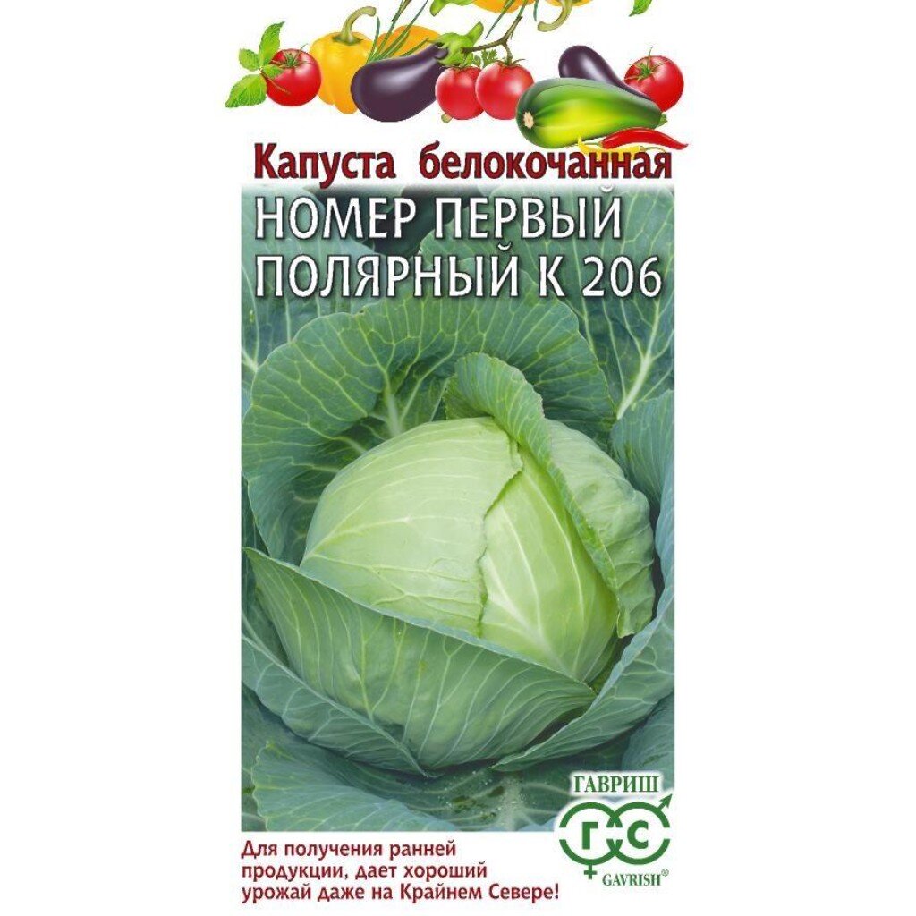 Семена Капуста белокочанная, Номер первый полярный К 206, 0.5 г, Овощная коллекция, ранняя, цветная упаковка, Гавриш