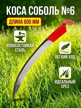 Соболь №6