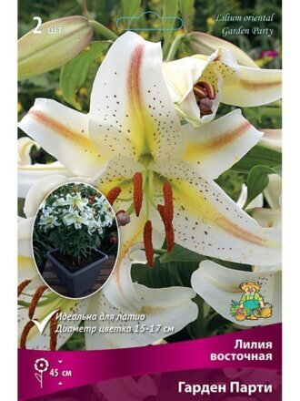 Луковицы Лилия восточная, Гарден Парти, 12-14, 2 шт