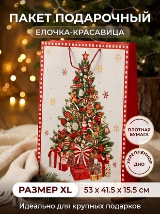 53 см