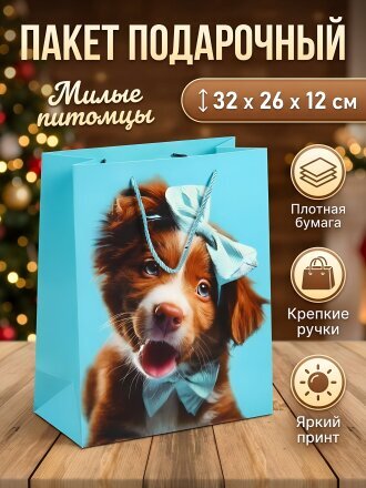 32 см