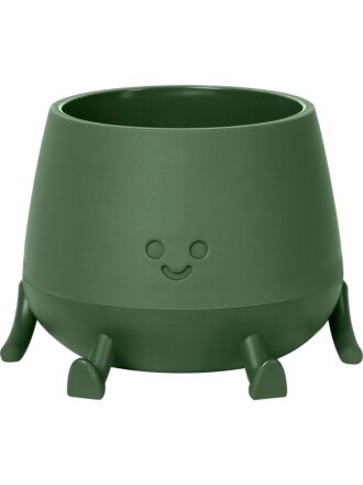 теплая хвоя