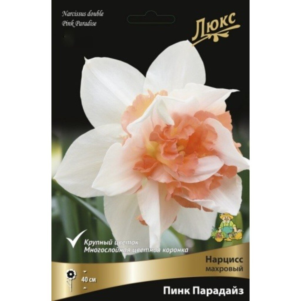 Луковицы Нарцисс махровый, Пинк Парадайз, 12-14/К, 3 шт