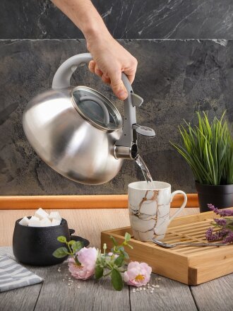 Чайник нержавеющая сталь, 3 л, со свистком, матовый, логотип меняет цвет, ручка с силиконовым покрытием, Daniks, DSC-8801