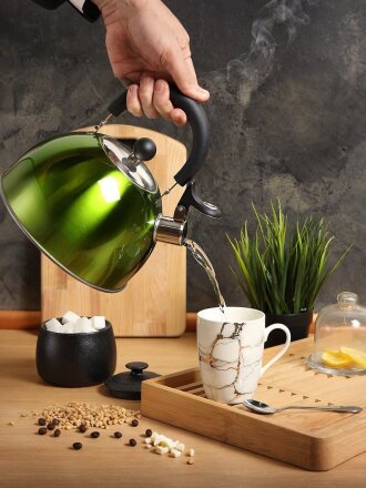 Чайник нержавеющая сталь, 2.5 л, со свистком, зеркальный, ручка пластиковая, Daniks, индукция, зеленый, MSY-021G