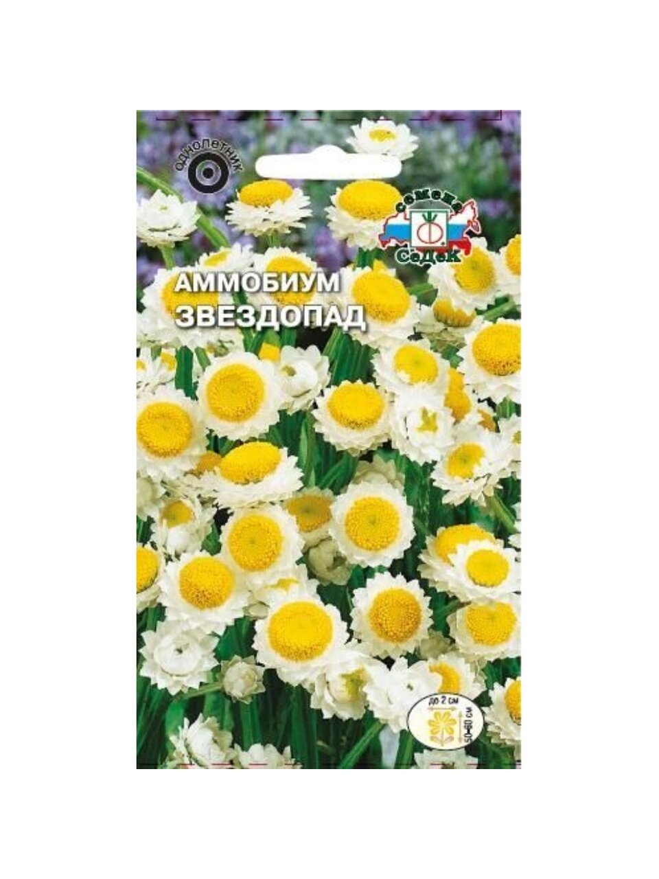 Семена Цветы, Аммобиум, Звездопад, 0.2 г, цветная упаковка, Седек