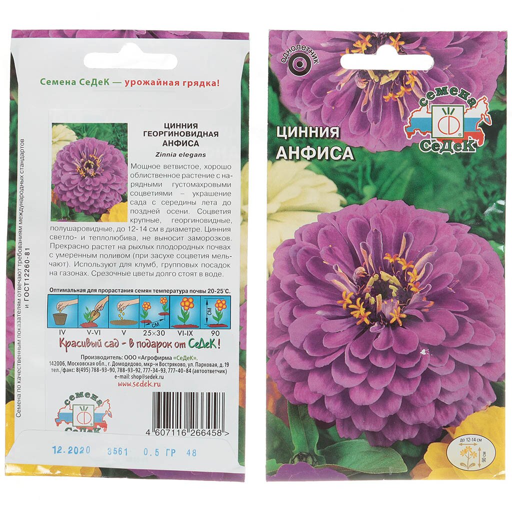 Семена Цветы, Цинния, Анфиса, 0.5 г, цветная упаковка, Седек низкорослая изящная цинния семена агрони
