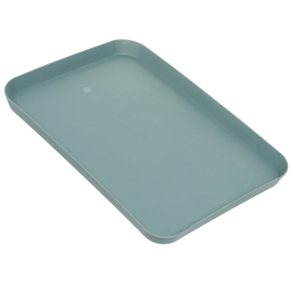 Поднос пластик, 32х24 см, прямоугольный, голубой, Y4-8074 ерш для туалета мультипласт мт066 стандарт напольный пластик голубой
