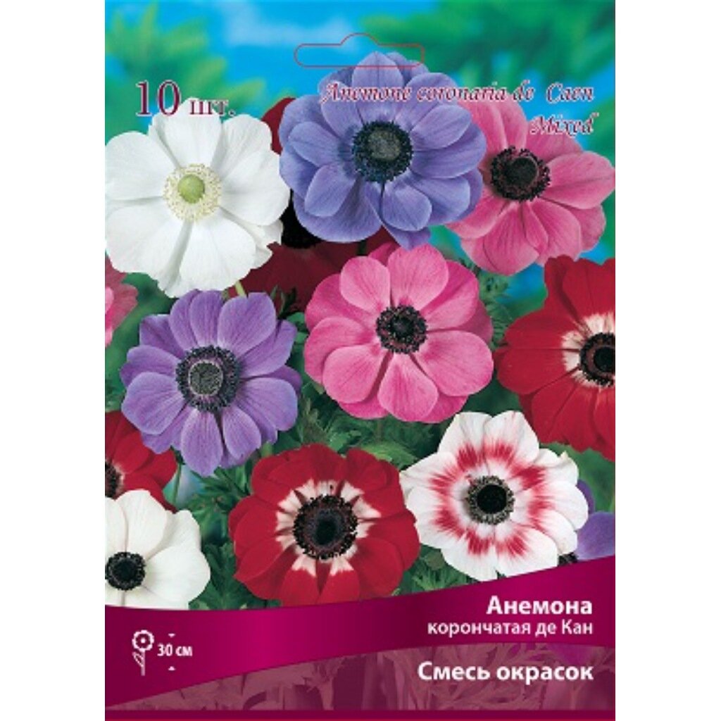 Анемона Де Каен, 7-8/К, 10 шт