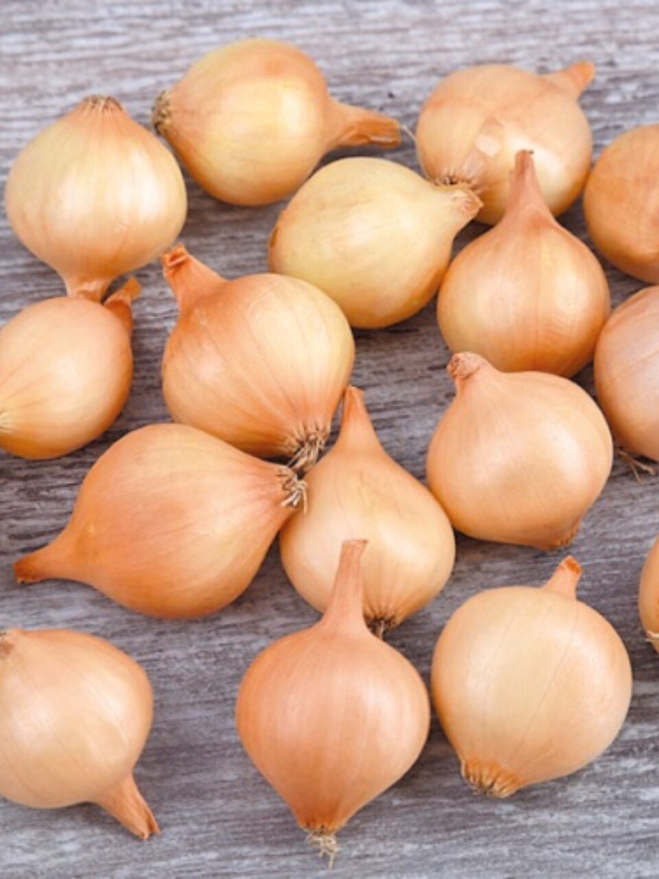 Луковицы Лук-севок, Штуттгартер Ризен, 1 кг