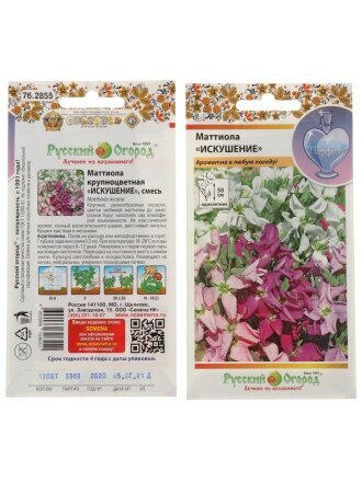 Искушение