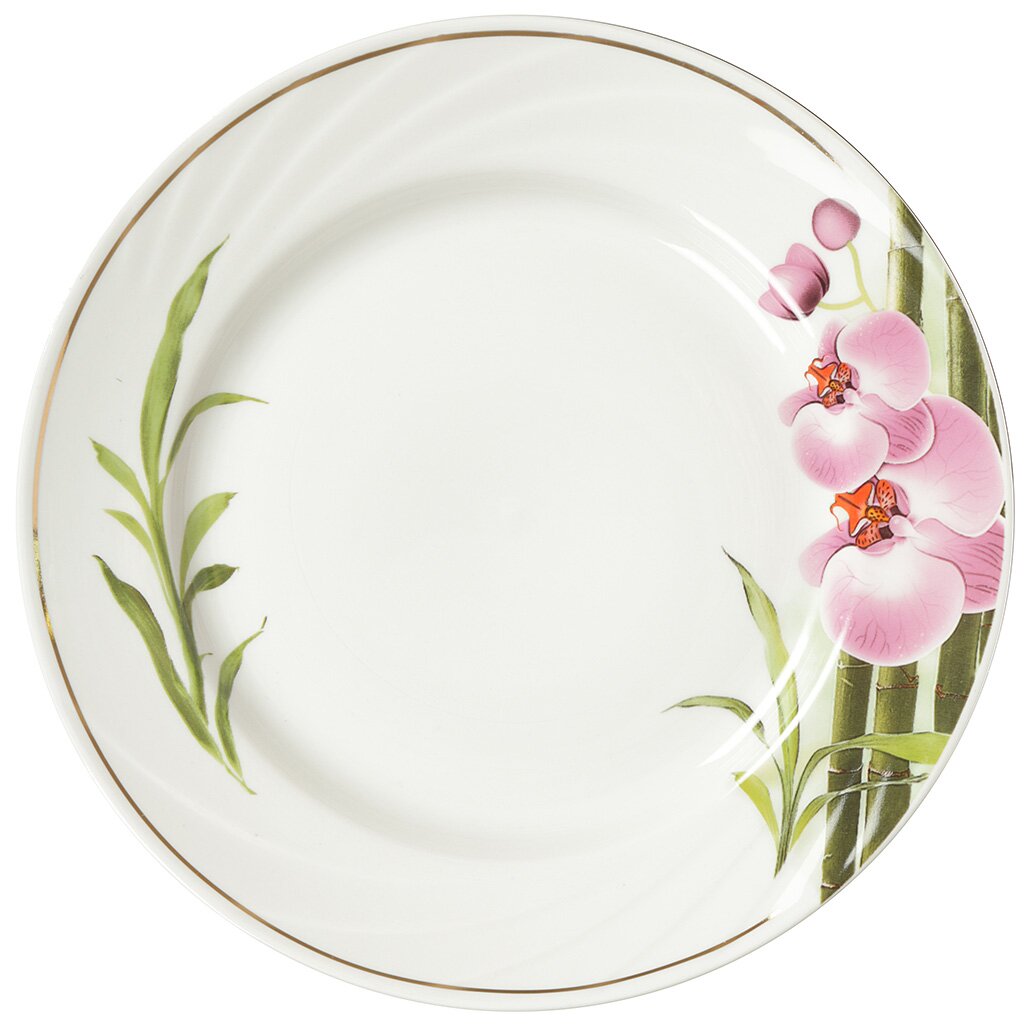 Тарелка обеденная, керамика, 24 см, круглая, Голубка Бамбуковая орхидея, Добрушский фарфоровый завод, 5С0937