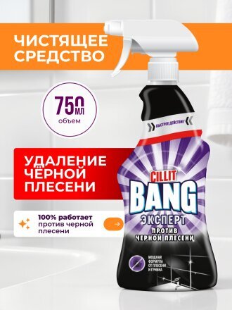 Удаление черной плесени