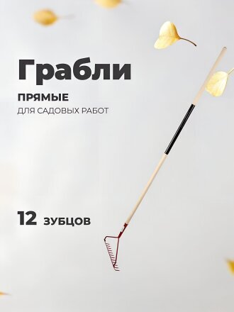 12 шт