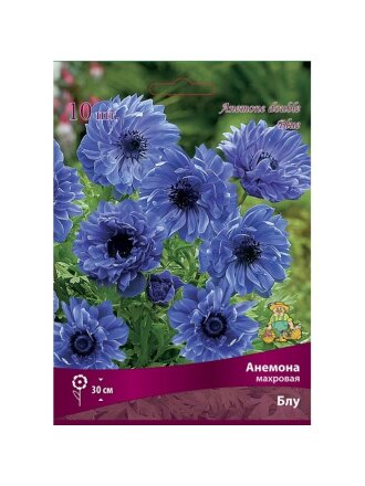 Корневище Анемона махровая, Блум, 10 шт
