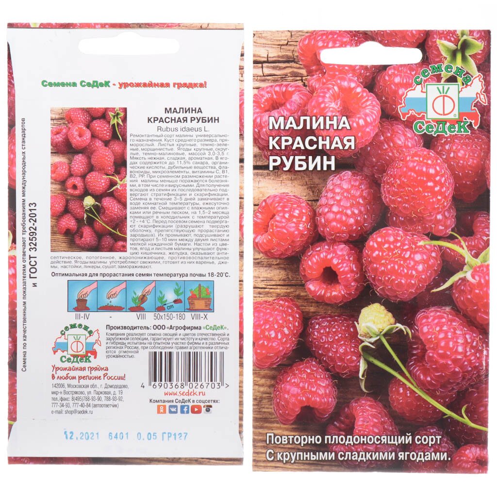 Семена Малина Красная Рубин Седек в Москве: цены, фото, отзывы - купить ...