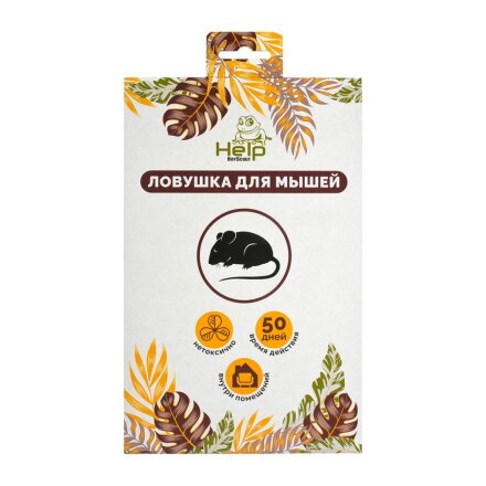 мыши