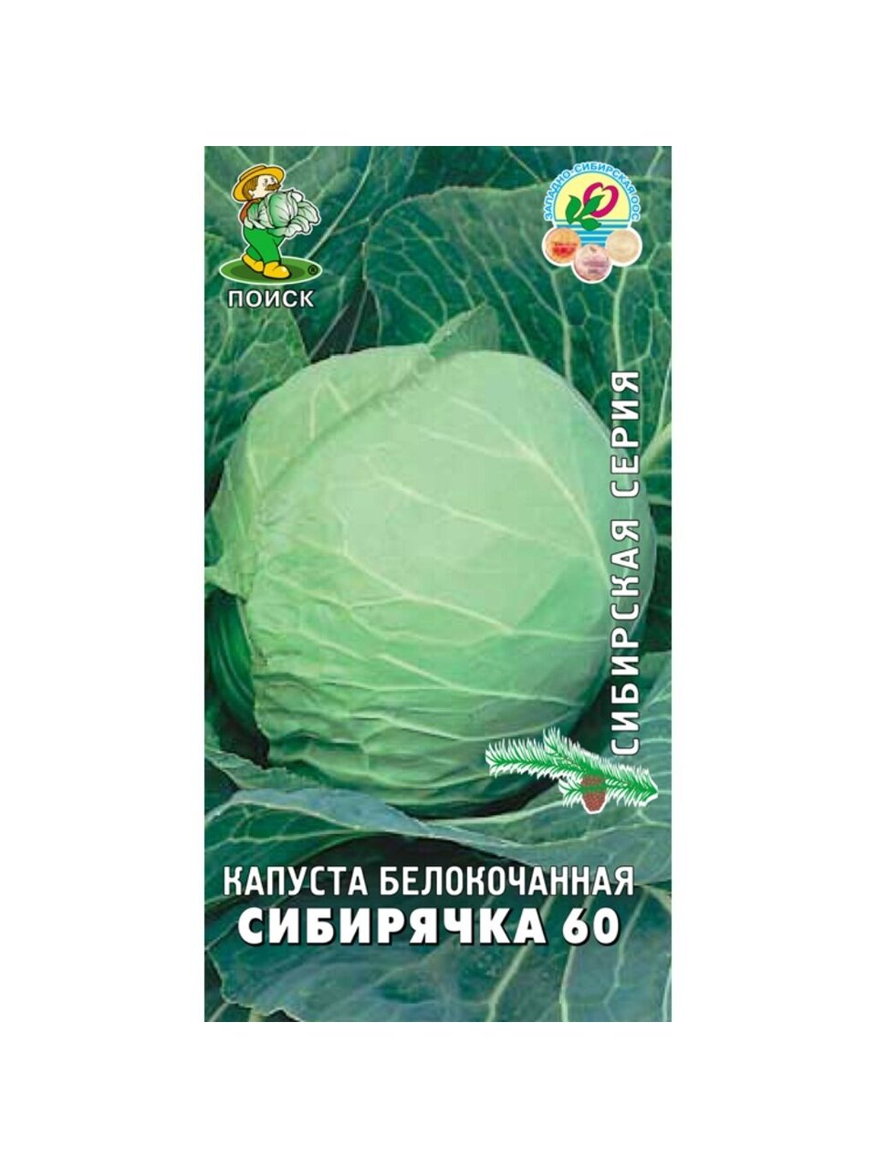 Семена Капуста белокочанная, Сибирячка 60, 0.5 г, Сибирская, цветная упаковка, Поиск